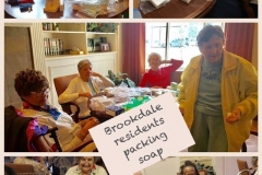 Brookdale-volunteers